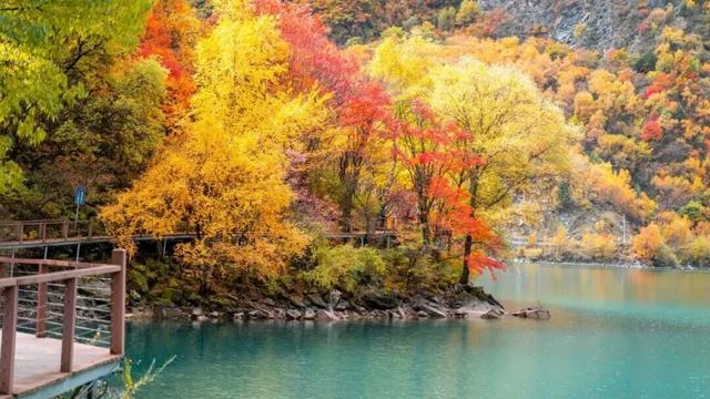 松坪沟的秋天，把油画里的颜色都搬来了吧