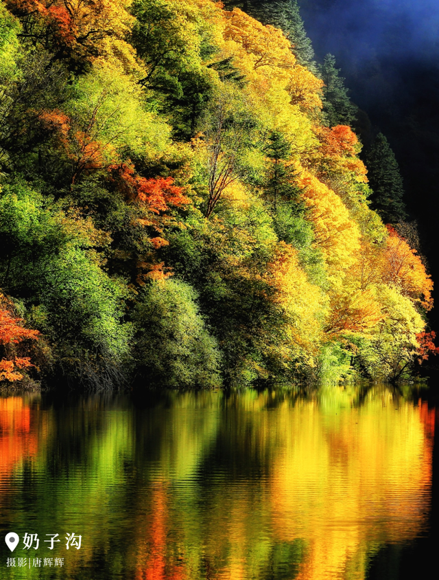 中国彩林第一县！黑水的美镜头不足以描绘！