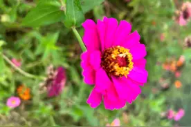 婚外的关系里，纠缠你的男人，女人用一招就能断干净图片