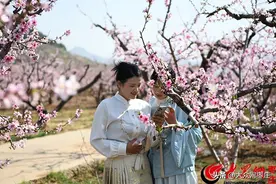 四季流转 多彩枣庄 | 打卡山亭：三条“乡韵画卷”线路，解锁春日浪漫之旅图片