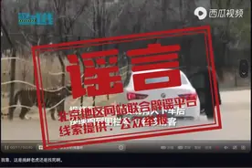 官方辟谣“八达岭野生动物园一游客在孟加拉虎园下车”：系旧闻翻炒图片