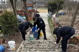 “狼王小胡”，被判刑！图片