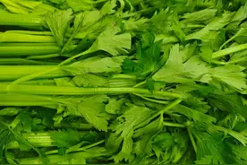 吃芹菜，糖友千万别扔这个部位！图片