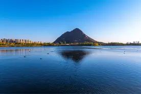 壮观！上百只国家保护动物白骨顶鸡“打卡”济南图片