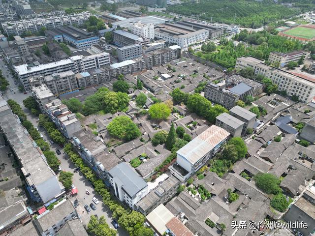 成都古镇（15）郫县唐昌古镇崇宁公园·大椿巷
