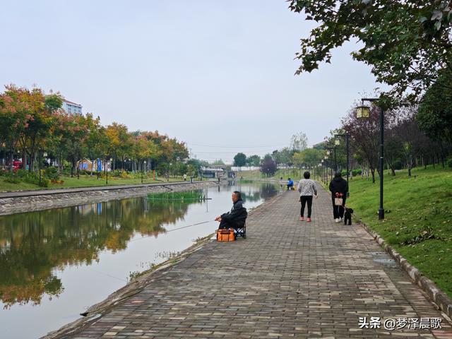 云梦生态浮岛的三重奏