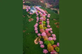 心灵鸡汤-来源于网络 共勉图片