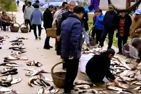 怀念七八十年代的春节：淳朴热闹的年味图片