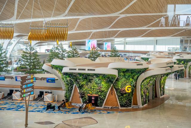 广州白云T3航站楼启用：全国最大单体机场诞生，岭南花城新地标