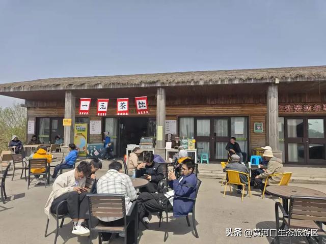 【黄河口生态旅游区】清明踏青正当时|黄河口人气爆棚,各景点游人如织!