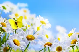 成年人最难的3次觉醒，抓住一次就不会轻易被生活压垮……图片