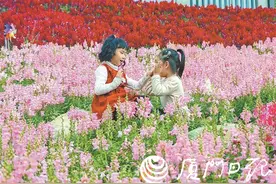 带上这份踏春指南，享一“鹭”繁花图片