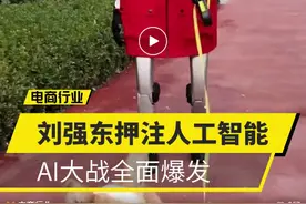 马云、刘强东狭路相逢，AI电商必有一战图片