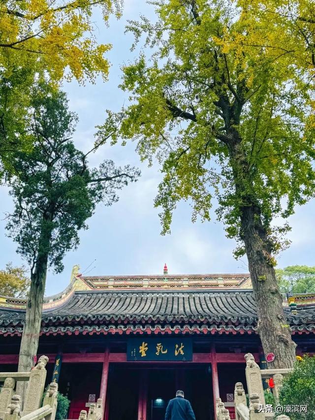 秋色“进度条”加载中，狼山森林公园赏秋点等你来打卡→