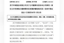 72岁董事长突遭证监会立案，苏宁环球回应图片