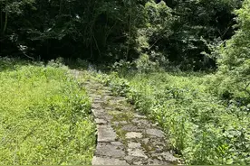 独穿贵州铁溪龙潭禁地：遭遇黑色巨蟒，乃是最恐怖的过山风（六）图片