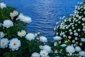 两性交往：女性最多能接受多少岁的男性？现实很残酷图片