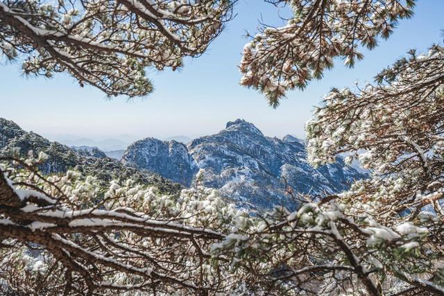 2月-3月适合去7个好地方，冬春季氛围感极佳的目的地