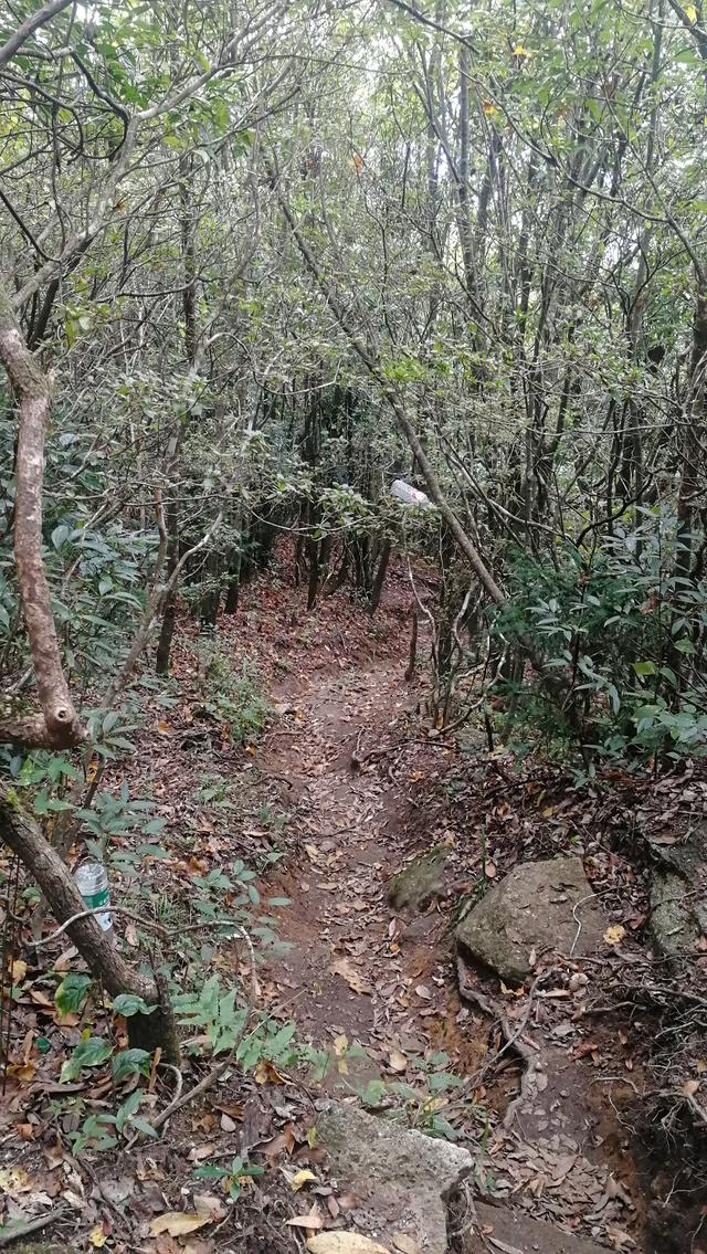 柳州周边小众景点（元宝村、小桑村、青山寨、培秀村、冬竹山）