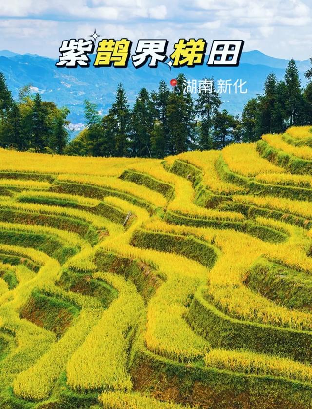 大湖南了不起!这7个低调县城已经代表中国走向世界