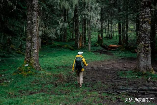 全球达人“种草”!云南入选全球2026年最值得去的地方