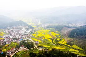 安徽省望江县历史沿革及行政区划图片