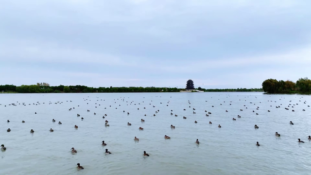 盐都五旅融合 释放发展活力