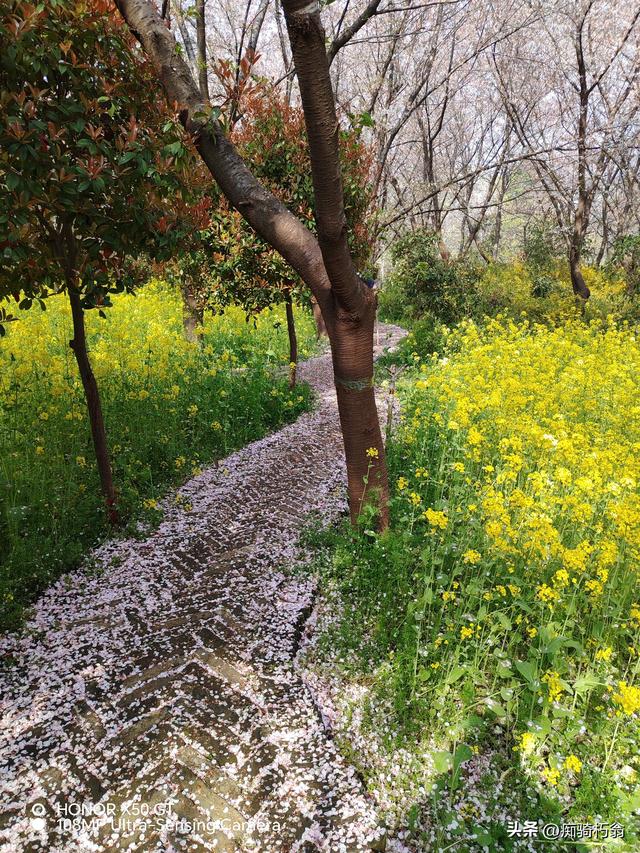 最美最妩媚，人间四月天