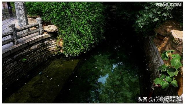 山东行游影记（2）—济南趵突泉（二）
