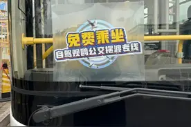 昆明安排1000个观鸥免费车位！省心指南看这里→图片