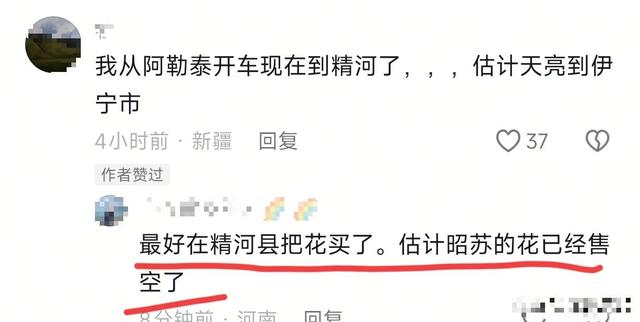 贺娇龙自曝被动收入900万 昭苏县城花卖空房住满 无数网友奔赴送别