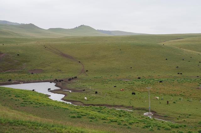 张掖山丹马场——祁连山脚下的大草原
