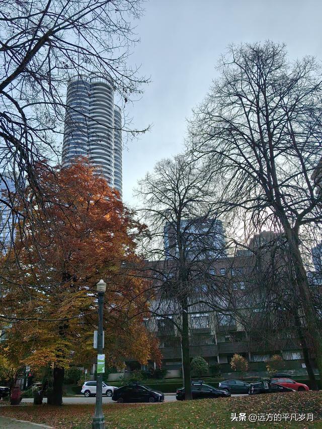 温哥华游记（四）