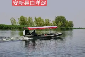 雄安新区这个项目很大，涉及10个乡镇99个村，看看位置在哪里图片