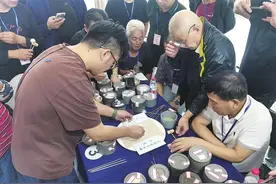 秋虫争霸背后的苏城蟋蟀江湖图片