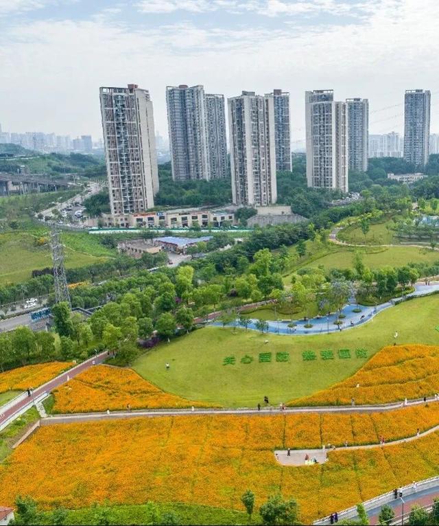 首个春假！家门口的露营野餐地随便挑