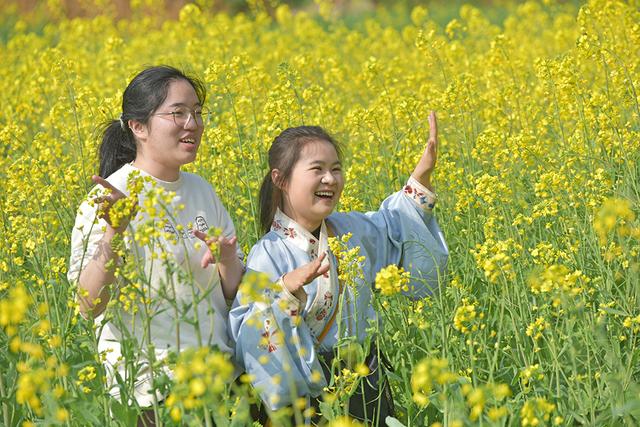 万峰林景区：观花海 逛集市 “暖冬游”持续火爆