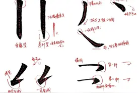 书法基础 | 自学书法之笔画入门学习笔记整理【收藏版】图片