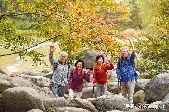 李富贵带老人去旅游