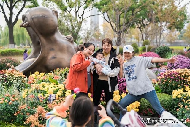 双休日武汉菊展人气爆棚，外地游客坐高铁来赏菊