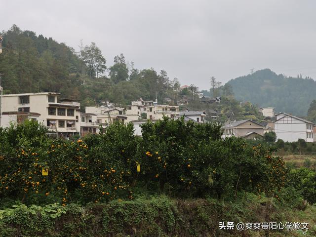 【乡愁印迹·村史村事】修文县桃源村——兵家必争的“腊鲊坝”