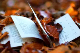 一建、一造和监理哪个更难考？如何布局三个证书的考试顺序？图片