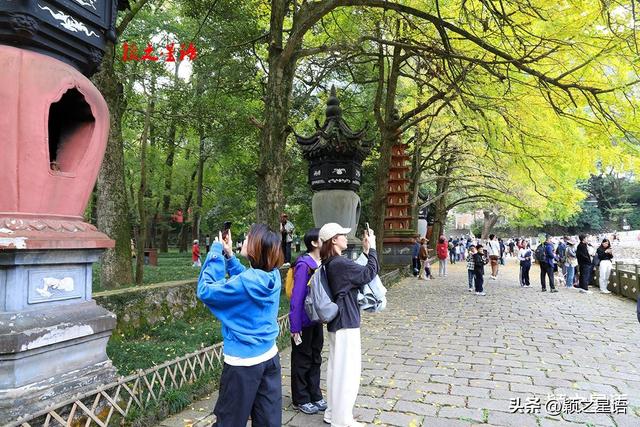 天童寺的高光时刻，禅意弥漫，东谷秋红