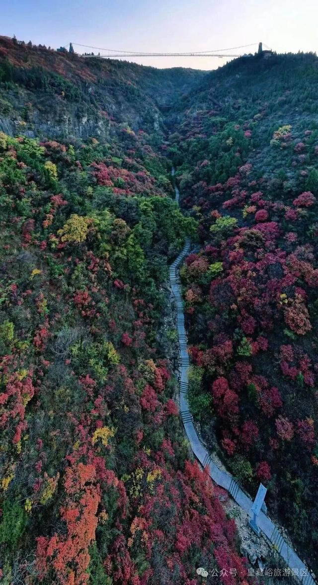不止有红叶！皇藏峪NPC互动解锁新玩法