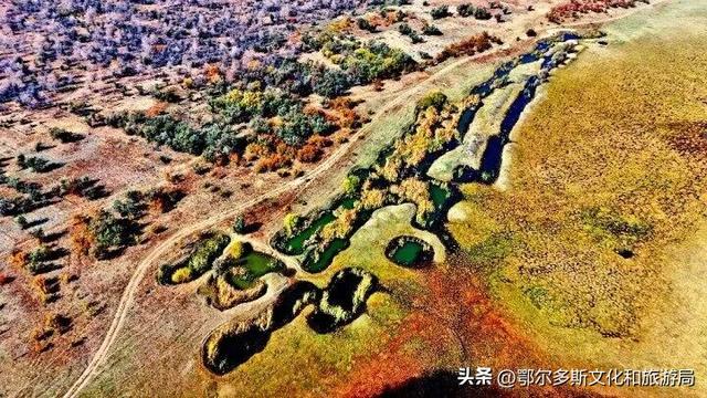 内蒙古杭锦旗：湿地秋景惹人醉