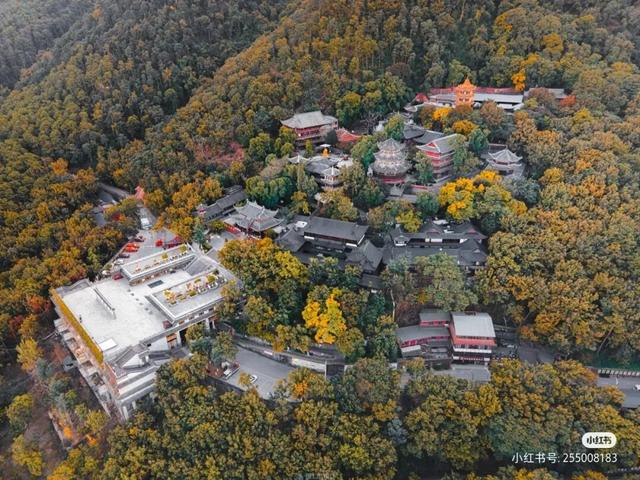 比大理浪漫！比昆明更近！高铁直达阳光小城，2万株蓝花楹美疯！观海登山，美食吃到爽！