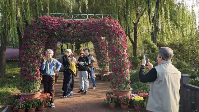 滕州微山湖红荷湿地:乐享双十一，“荷”你游湿地