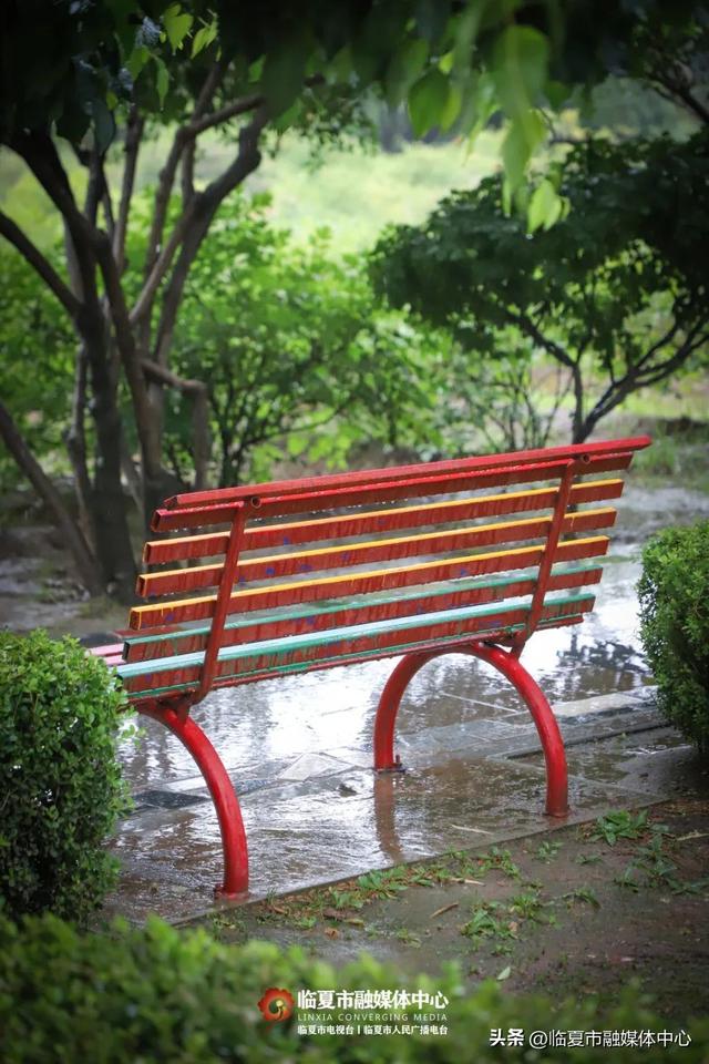 秋雨落，诗意起…邂逅临夏秋雨的美