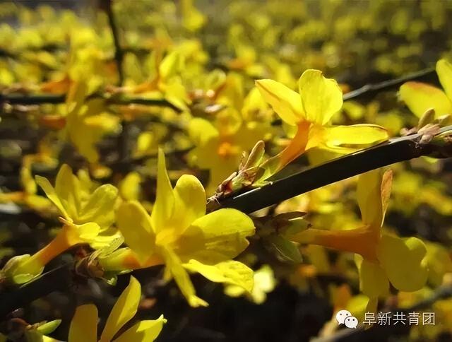 对不起！阜新，向全中国道歉！
