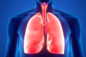 抽一根烟，肺部排毒需40天，卫生组织：不想生病就了解这“一点”图片